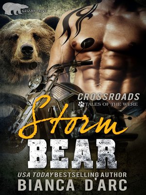 cover image of Storm Bear